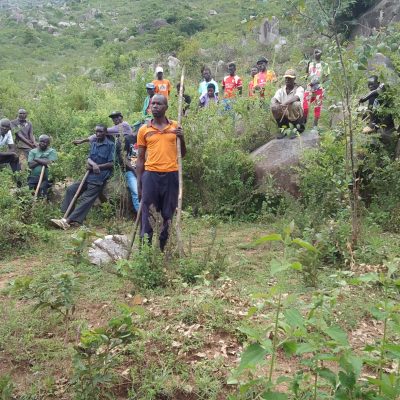 M A R A G O L I F O R E S T (4)