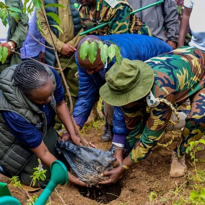 Maragoli Forest (10)