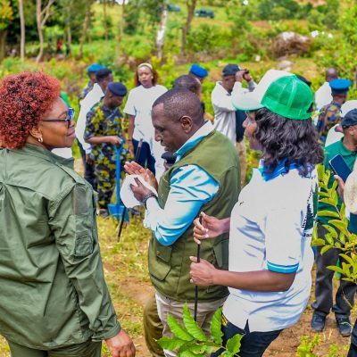 Maragoli Forest (12)