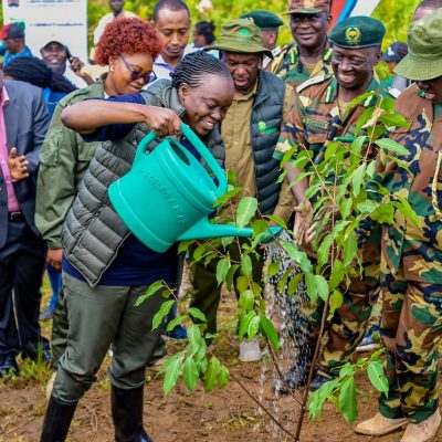 Maragoli Forest (13)