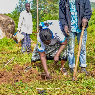 Maragoli Forest (15)