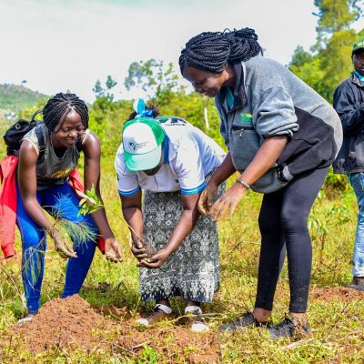 Maragoli Forest (18)