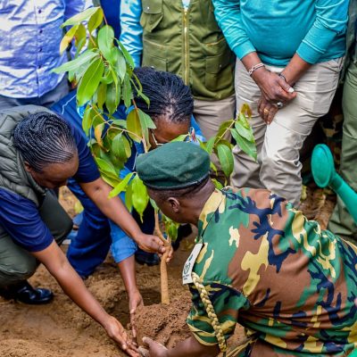 Maragoli Forest (21)