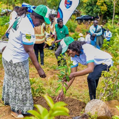 Maragoli Forest (23)