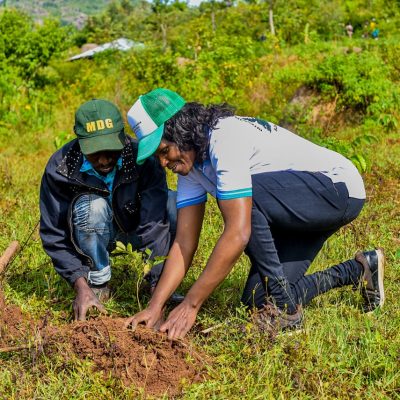 Maragoli Forest (24)