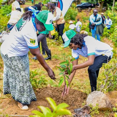 Maragoli Forest (28)