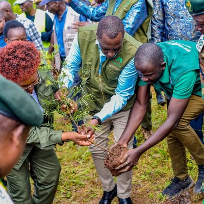 Maragoli Forest (30)