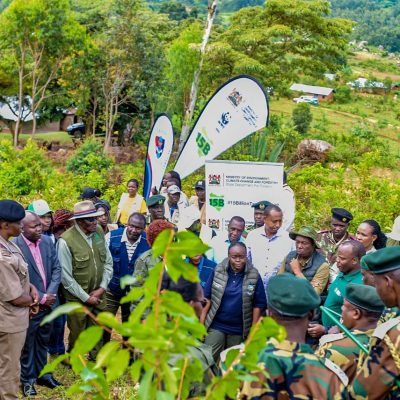 Maragoli Forest (31)