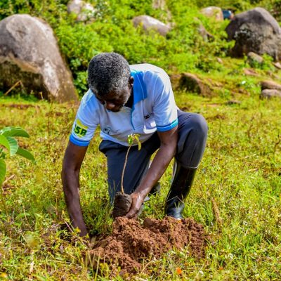 Maragoli Forest (32)