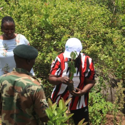 Maragoli forest (b) (5)